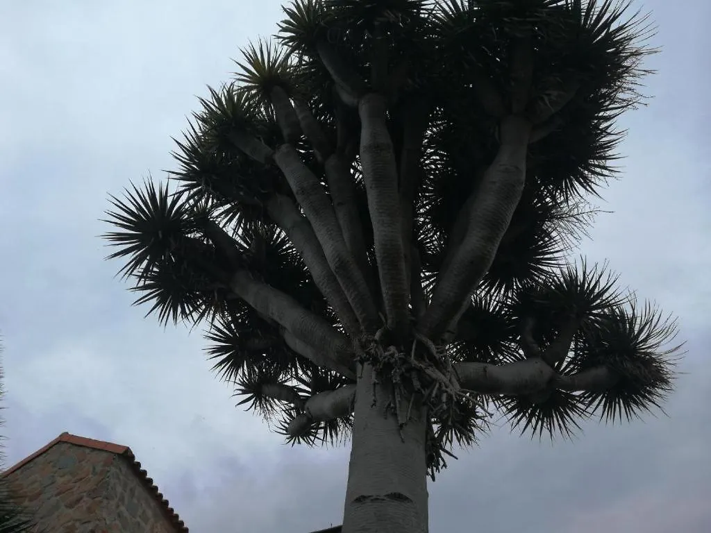 Alloggio in famiglia Appartamento Casa El Drago-Tafira Baja Las Palmas de Gran Canaria
