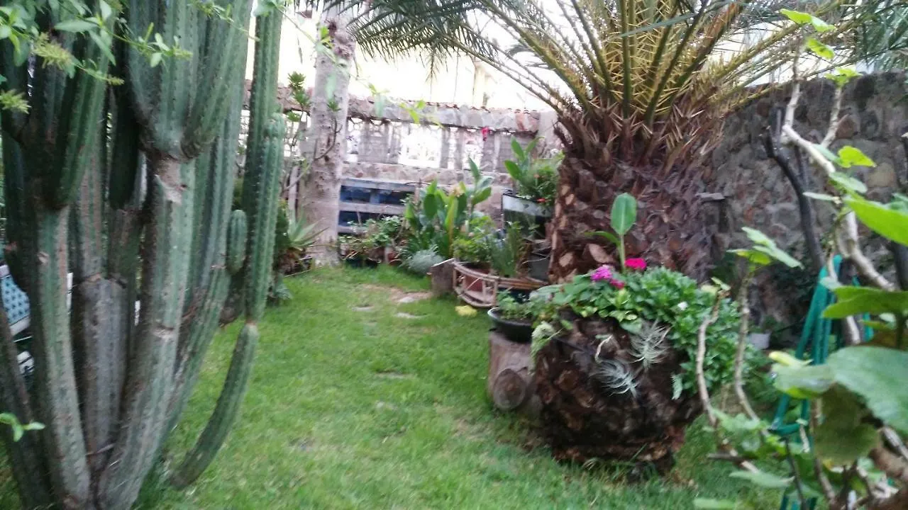 Alloggio in famiglia Appartamento Casa El Drago-Tafira Baja Las Palmas de Gran Canaria Spagna