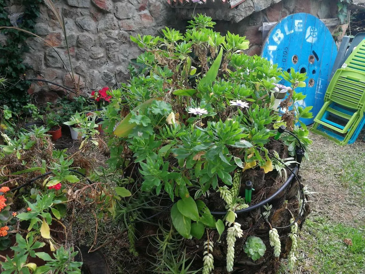 Appartamento Casa El Drago-Tafira Baja Las Palmas de Gran Canaria