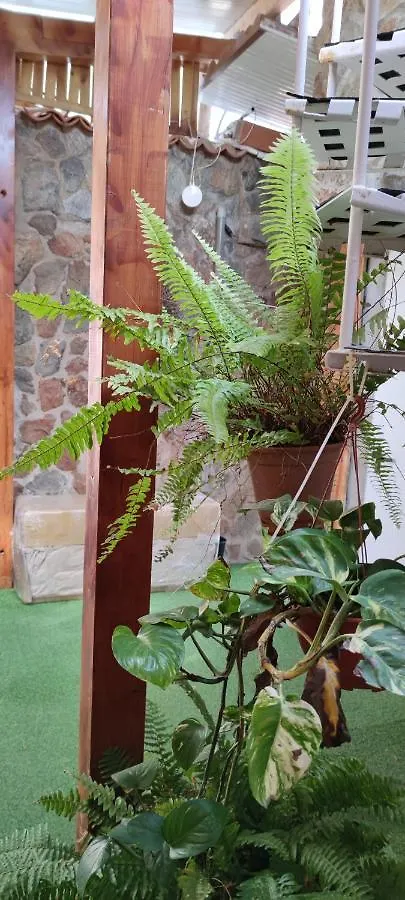 Casa El Drago-Tafira Baja Apartment Las Palmas de Gran Canaria