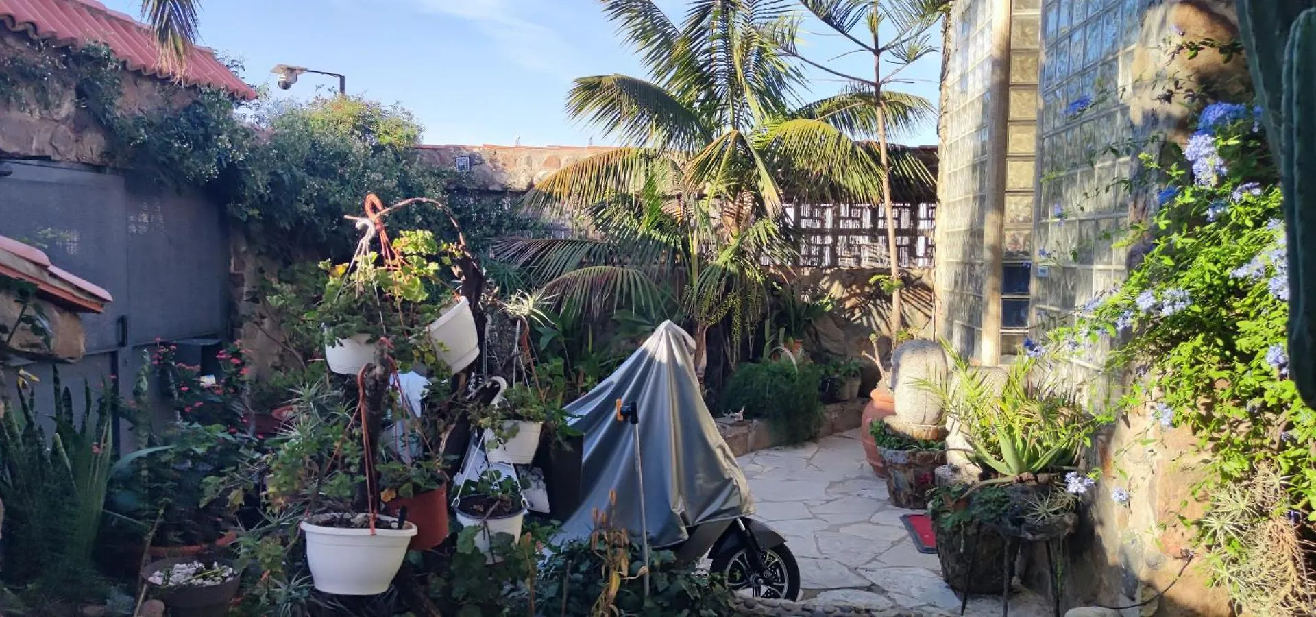 Casa El Drago-Tafira Baja Apartment Las Palmas de Gran Canaria Homestay