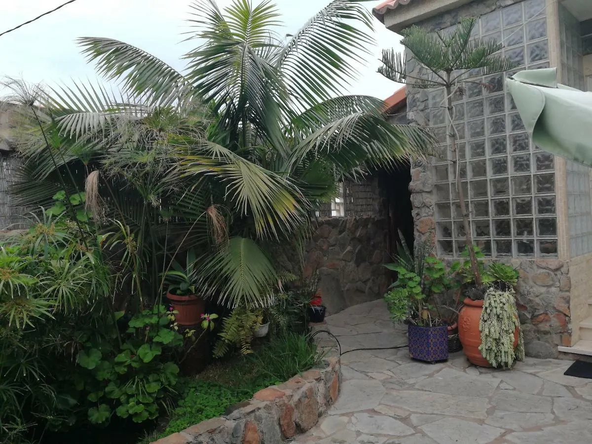 Séjour chez l'habitant Appartement Casa El Drago-Tafira Baja à Las Palmas de Gran Canaria Espagne