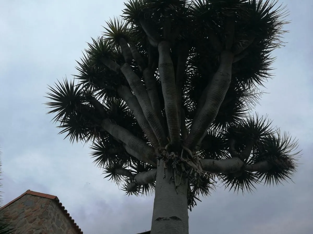 Appartement Casa El Drago-Tafira Baja à Las Palmas de Gran Canaria 0*,