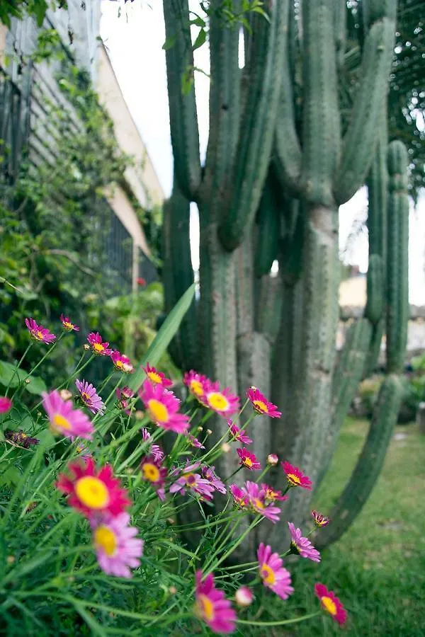 Homestay Casa El Drago-Tafira Baja Apartment Las Palmas de Gran Canaria